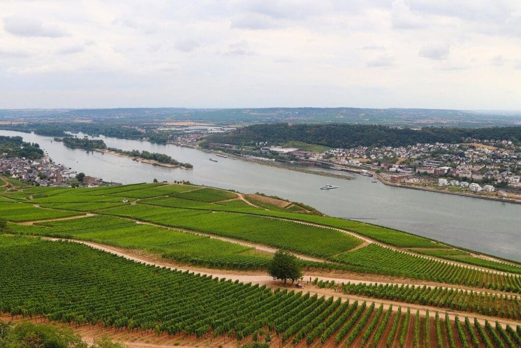 Vindistriktet Rheingau