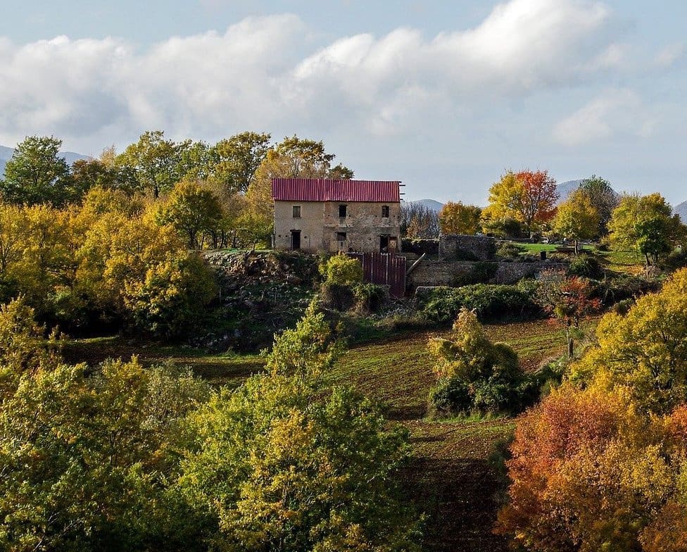 Vingård i Calabria