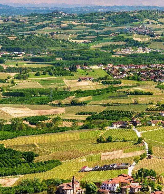 Italiensk vin på gewurztraminer